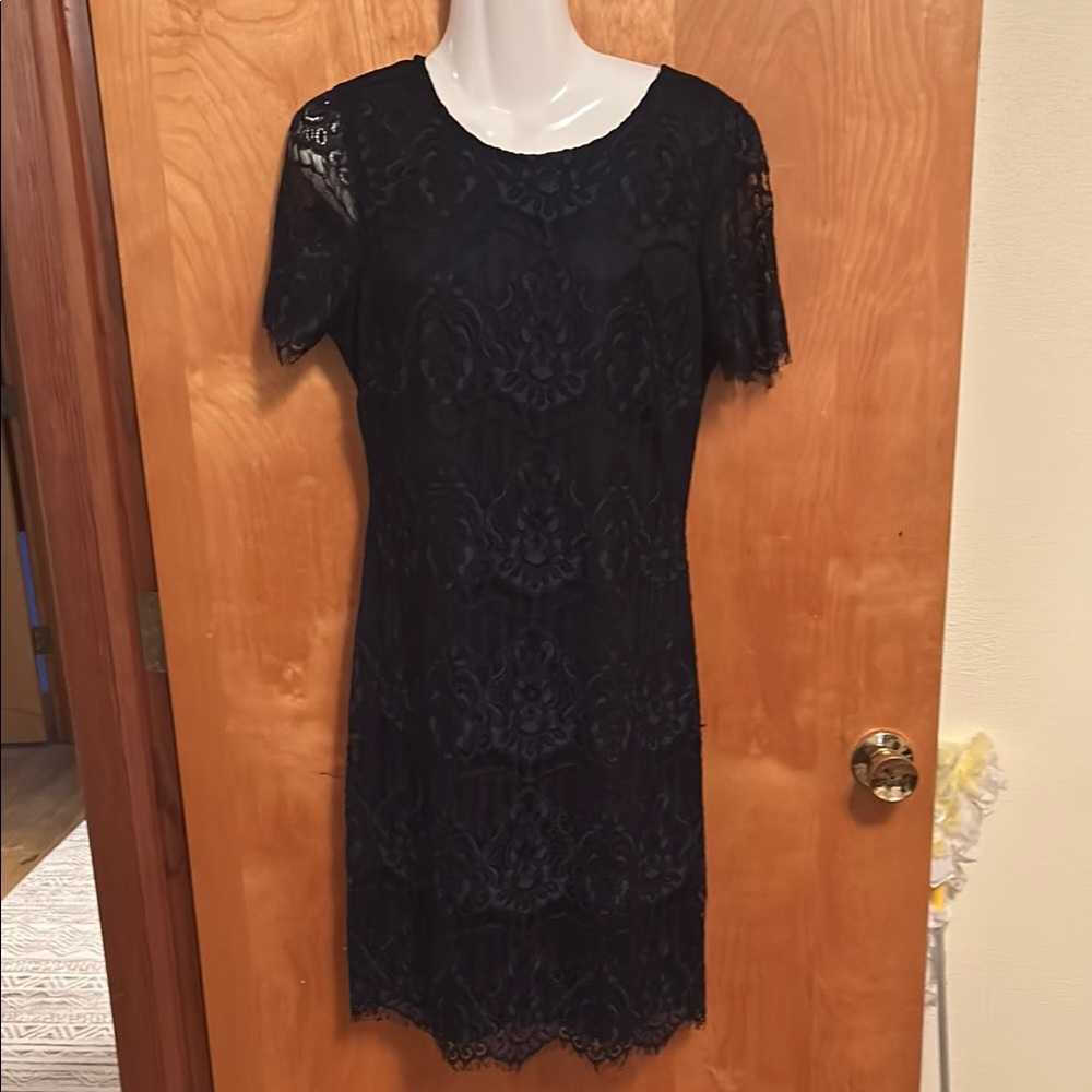 Elegant Lace Navy Dress